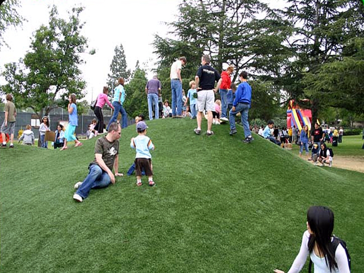 Artificial Grass Installation Valencia, California City Landscape, Recreational Areas