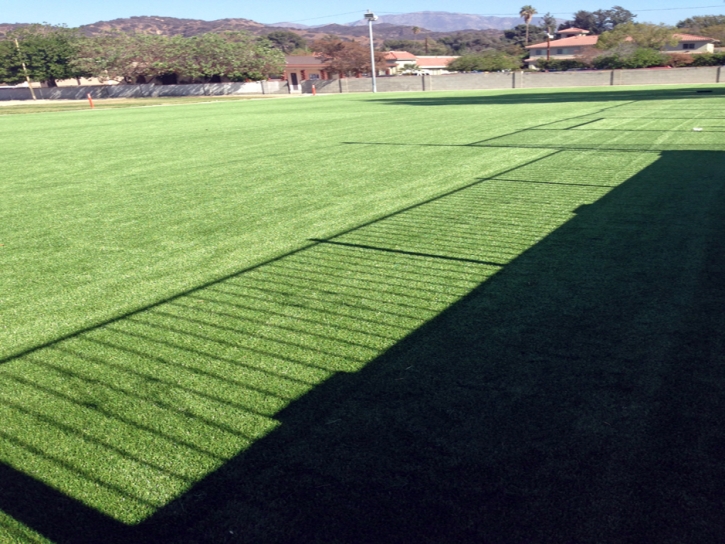 Artificial Grass San Joaquin Hills, California Lawn And Garden