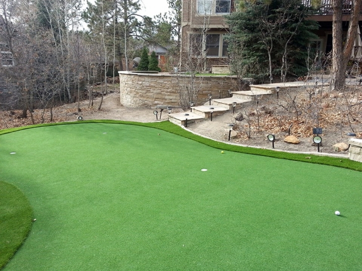 Artificial Lawn Huntington Park, California Putting Green, Backyard Landscape Ideas