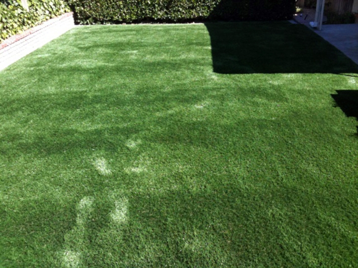 Artificial Lawn Inyokern, California Fake Grass For Dogs, Backyard Design