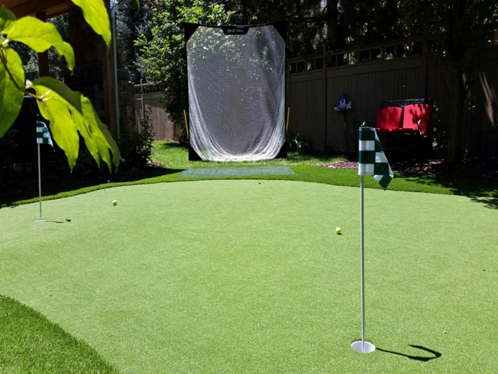 Artificial Turf Cost Goleta, California Putting Green, Backyards