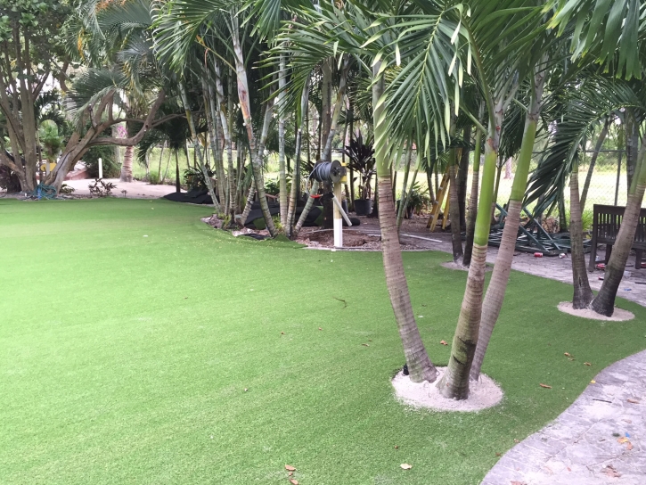 Artificial Turf Cost Hidden Meadows, California Landscaping, Commercial Landscape