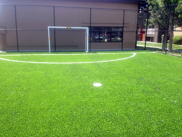 Artificial Turf Cost Lost Hills, California Backyard Sports