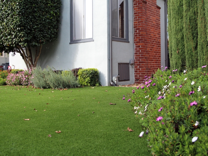 Artificial Turf Cost Universal City, California City Landscape, Front Yard Design