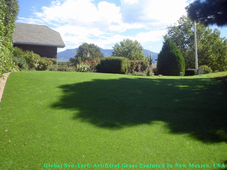 Artificial Turf Cost , Dog Running, Backyards