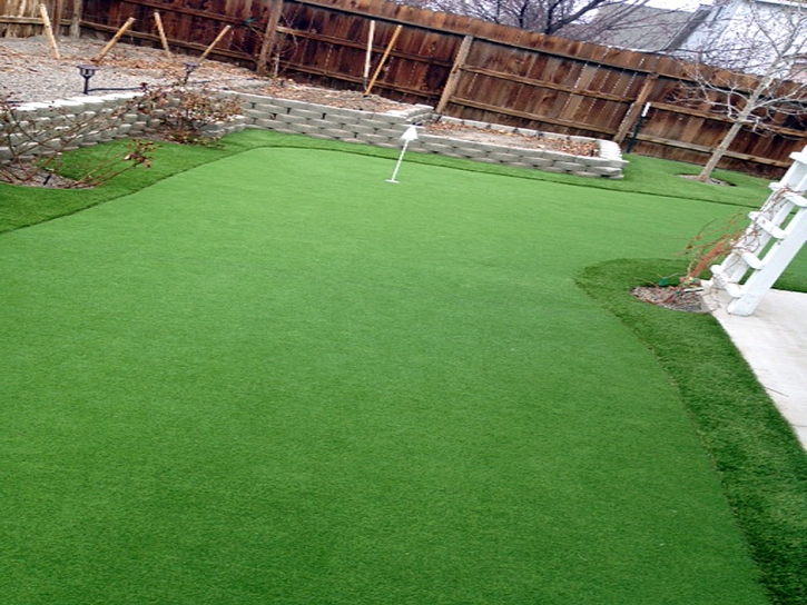 Artificial Turf Installation Palos Verdes Estates, California Artificial Putting Greens, Backyard Landscaping Ideas