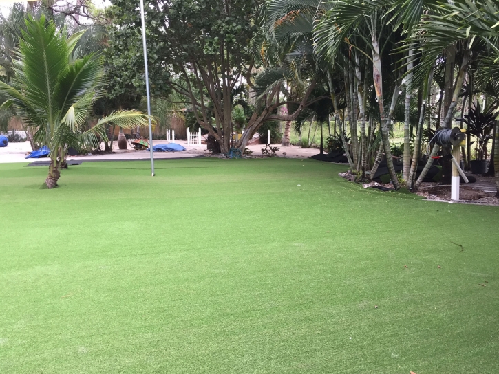 Artificial Turf Installation San Marcos, California Home And Garden, Commercial Landscape