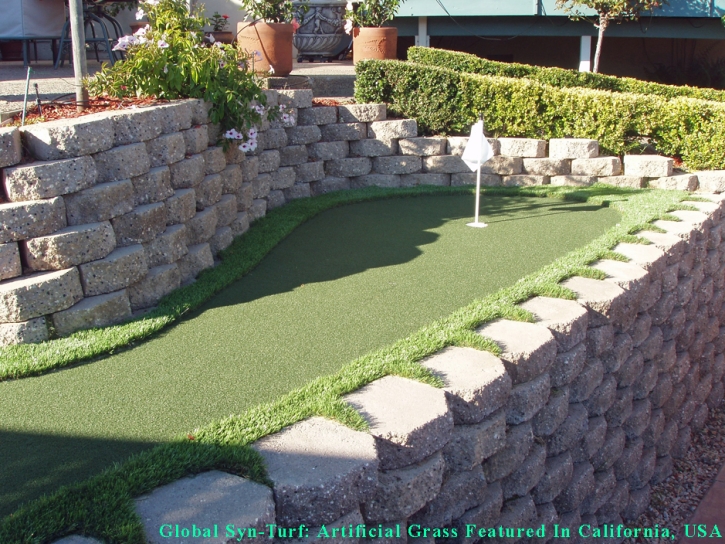 Artificial Turf , Putting Green Grass, Backyard Designs