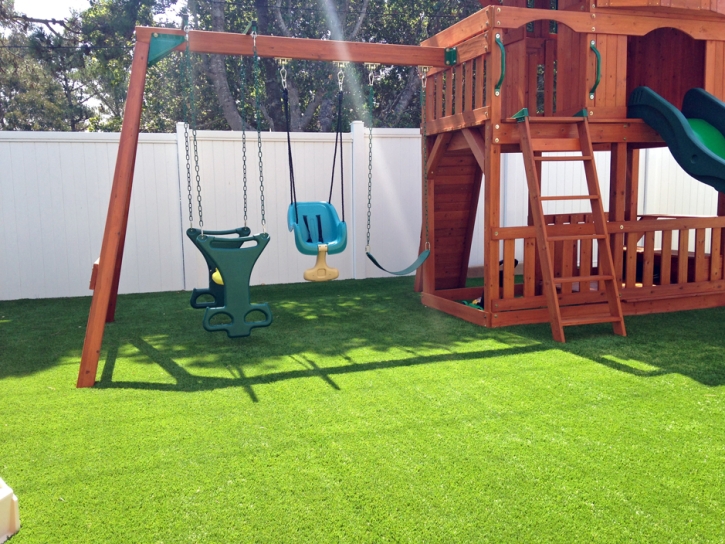 Best Artificial Grass Encinitas, California Lawns, Small Backyard Ideas
