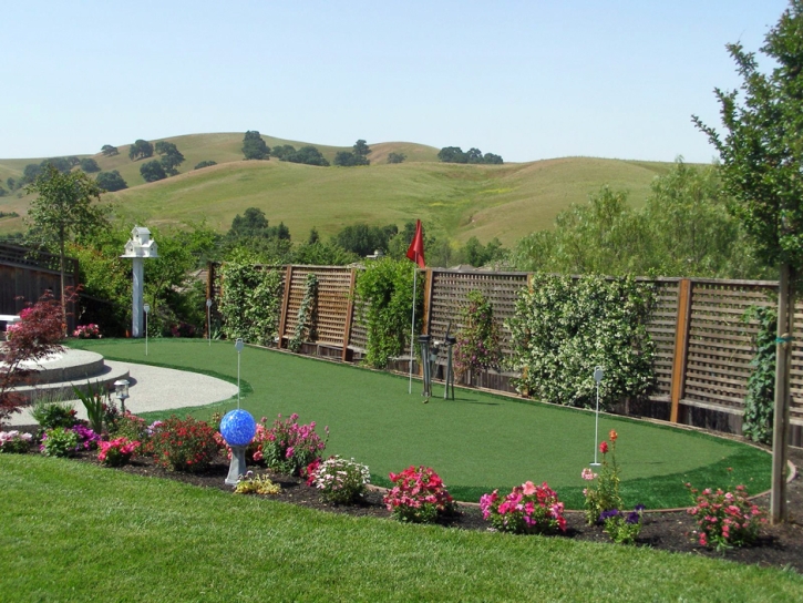 Best Artificial Grass La Habra Heights, California Garden Ideas, Backyard Makeover