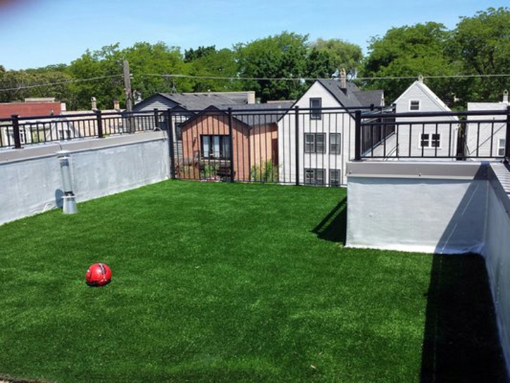 Best Artificial Grass Los Alamitos, California Dog Grass, Roof Top