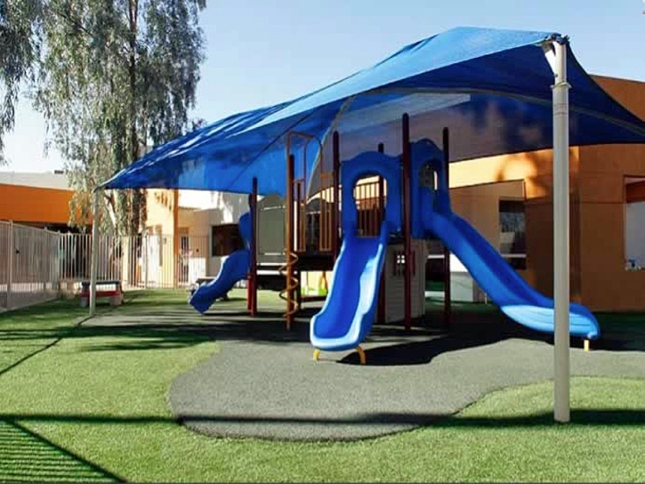 Best Artificial Grass Pico Rivera, California Indoor Playground, Commercial Landscape