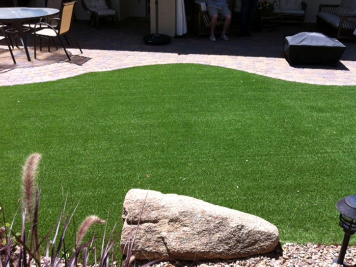 Fake Grass Carpet Bear Valley Springs, California Dog Pound, Backyard Designs