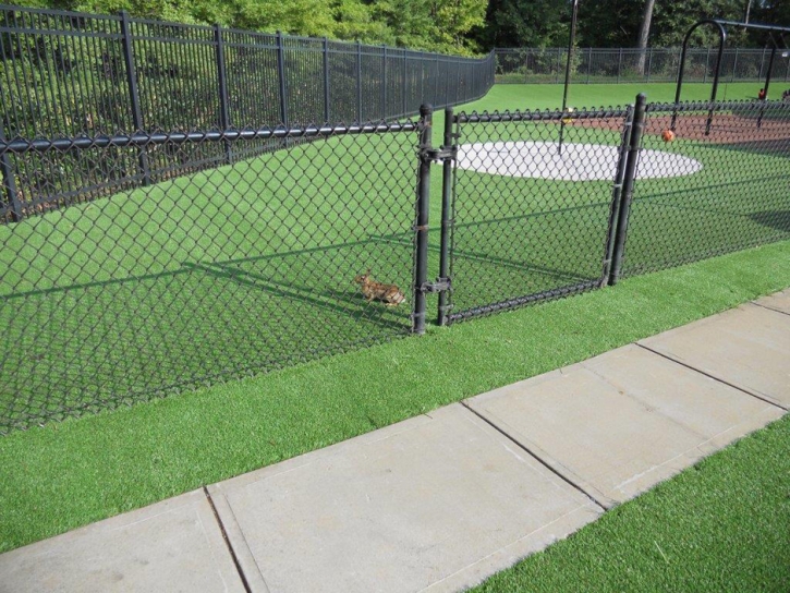 Fake Grass Carpet Irwindale, California City Landscape, Recreational Areas