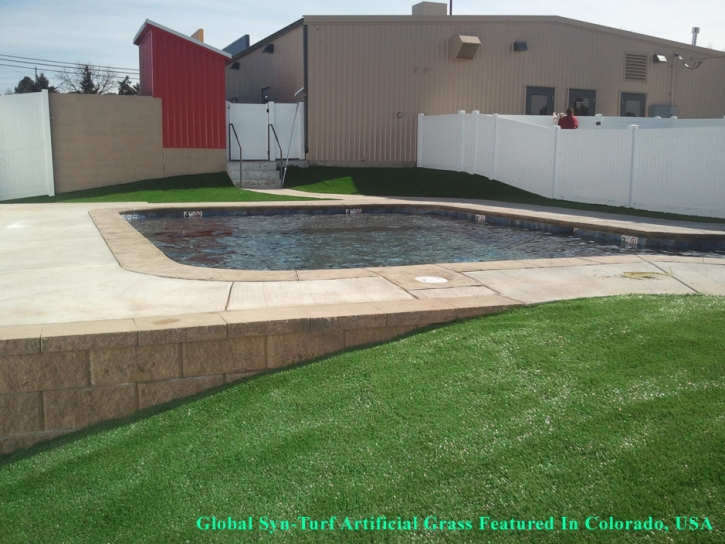 Fake Grass , Lawn And Garden, Swimming Pool Designs