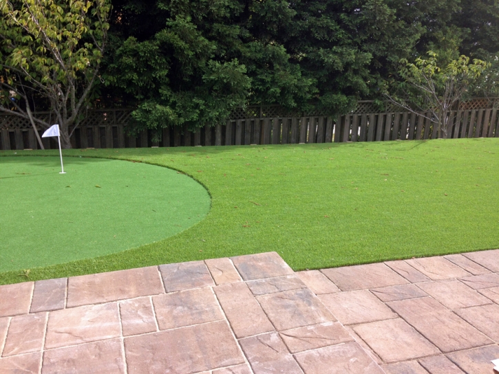 Fake Grass McFarland, California Golf Green, Backyard Landscape Ideas