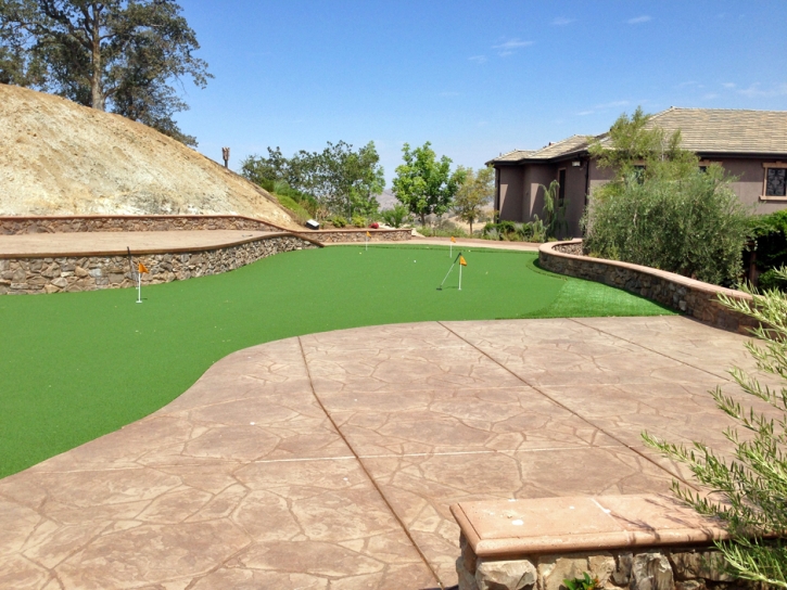 Fake Grass Mount Laguna, California Office Putting Green, Backyard Garden Ideas