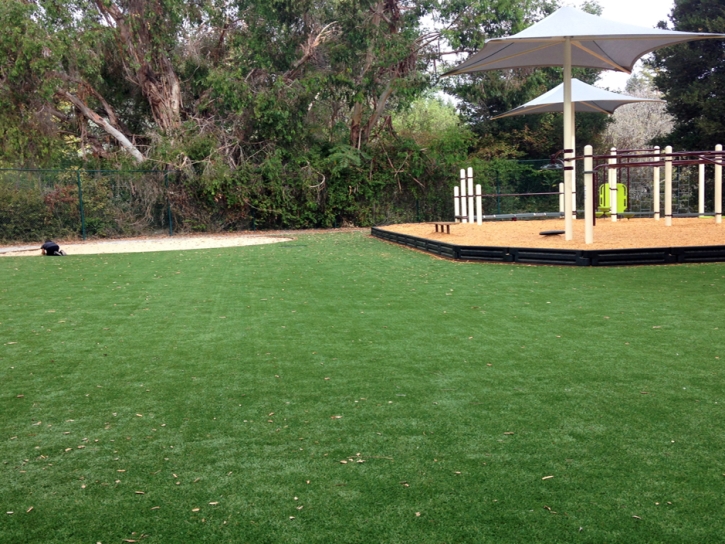 Fake Lawn Banning, California Playground