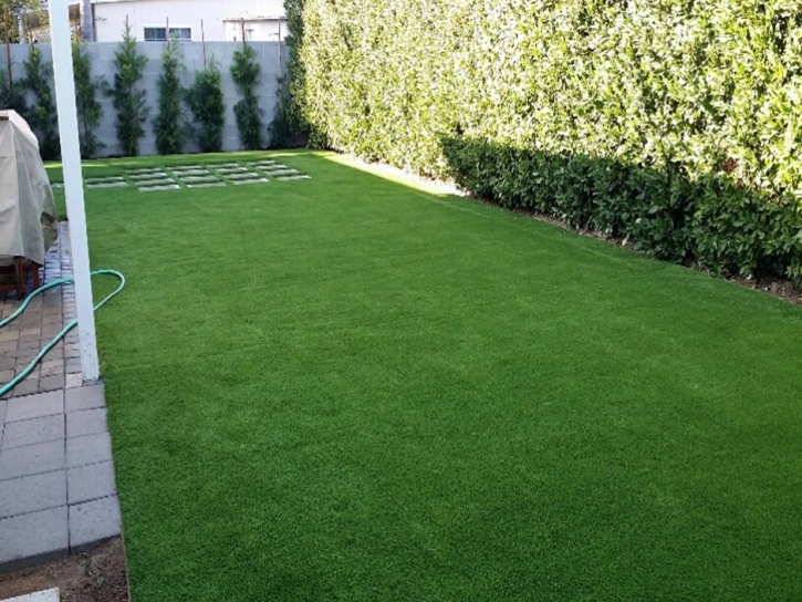 Fake Lawn Lemon Grove, California Backyard Deck Ideas, Beautiful Backyards