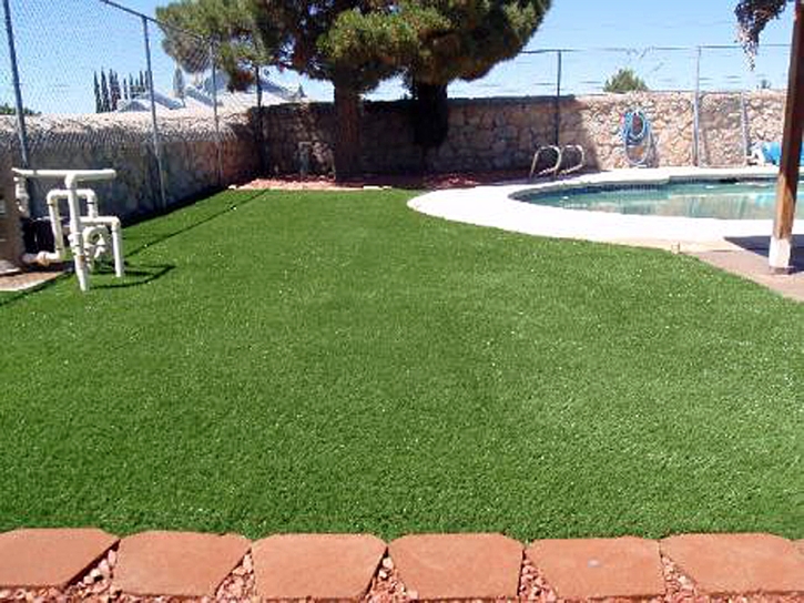 Fake Lawn Rossmoor, California Dog Running, Pool Designs