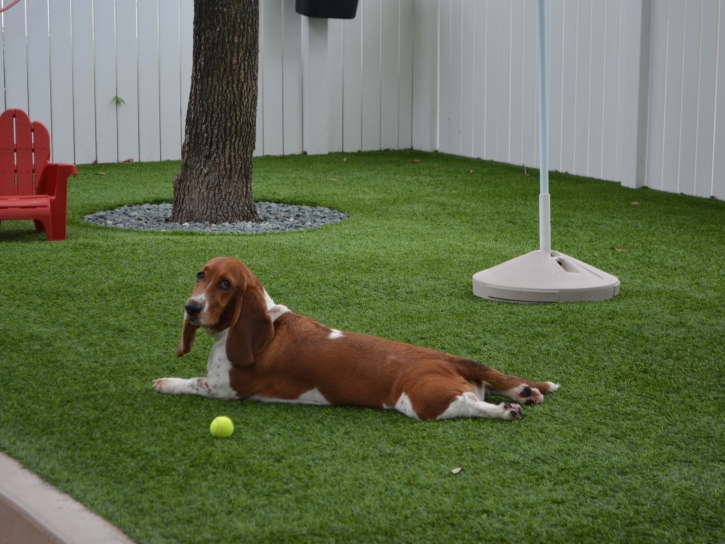 Fake Lawn Valle Vista, California Pet Paradise, Dogs Park