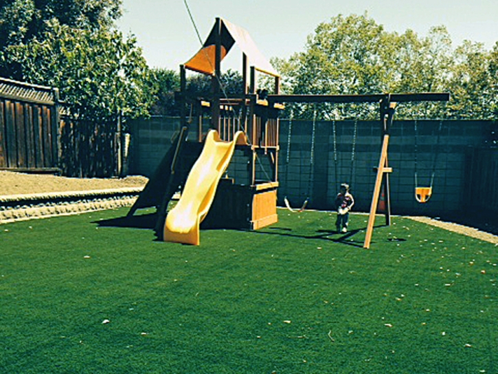 Fake Lawn Van Nuys, California Landscape Photos, Backyards