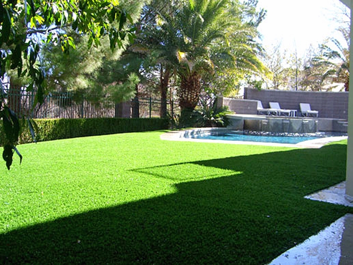 Fake Turf Lakeview, California Lawns, Backyard Designs