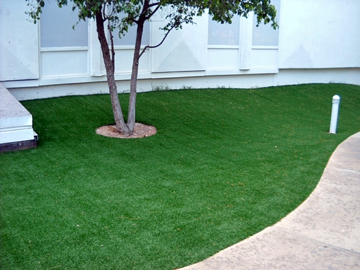 Faux Grass Calipatria, California Landscaping, Commercial Landscape