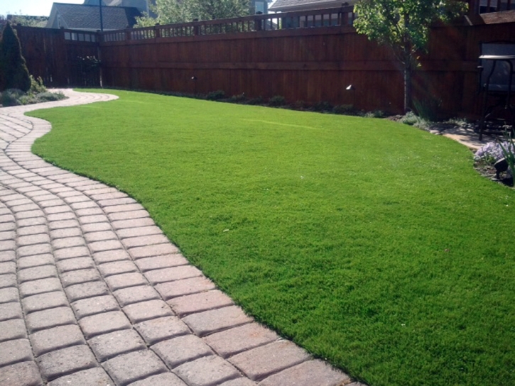 Faux Grass , Cat Grass, Backyards