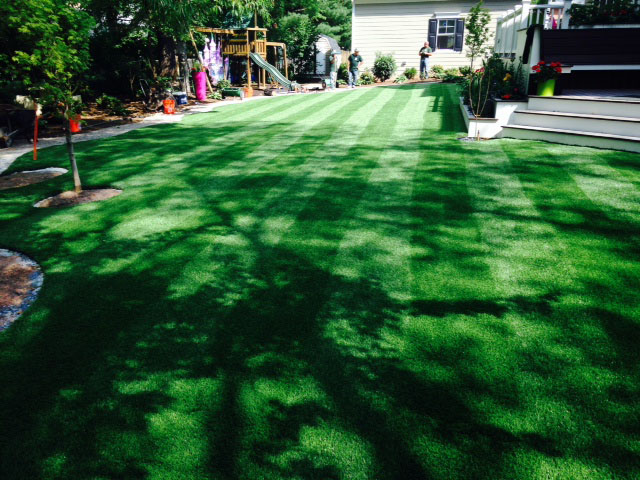 Faux Grass Malibu Beach, California Lawn And Landscape, Backyard Landscaping