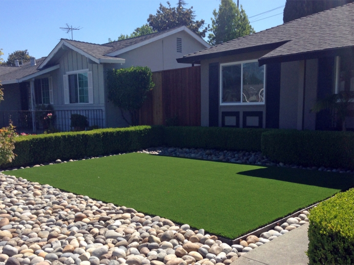 Faux Grass Newport Beach, California Landscape Ideas, Front Yard Landscaping Ideas