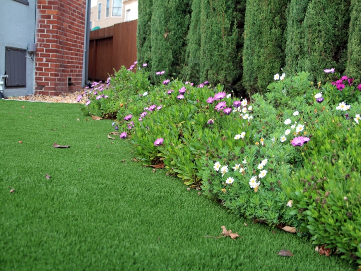 Faux Grass West Rancho Dominguez, California Landscaping Business, Landscaping Ideas For Front Yard