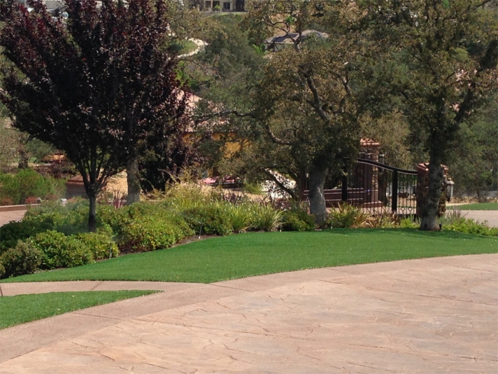 Grass Carpet El Segundo, California Landscape Design, Commercial Landscape
