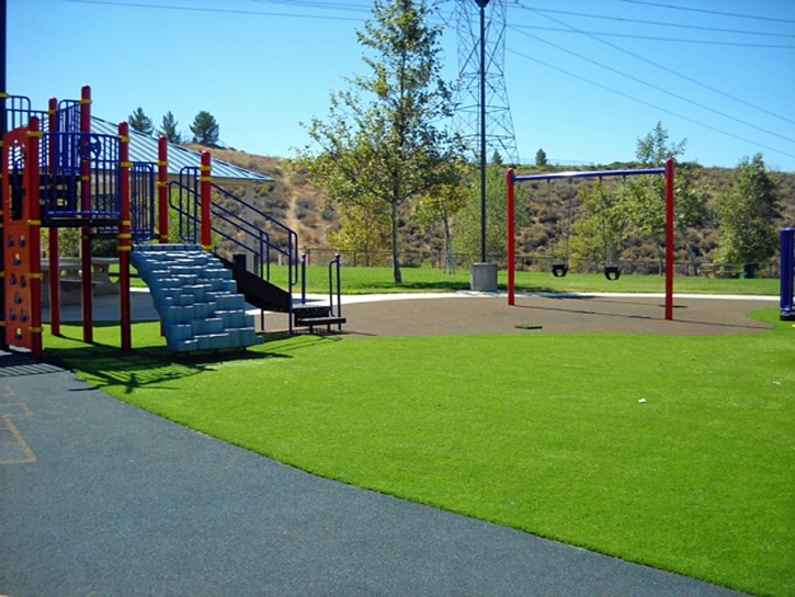 Grass Carpet Lake Forest, California Landscape Ideas, Parks