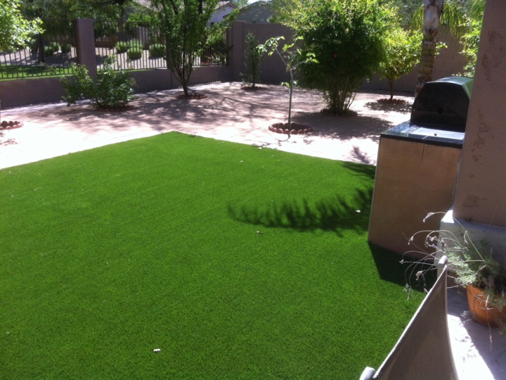 Grass Carpet Muscoy, California Dog Grass, Backyard Designs