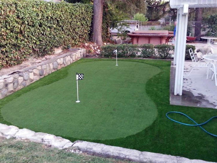 Grass Carpet Oasis, California Landscape Photos, Backyard Garden Ideas