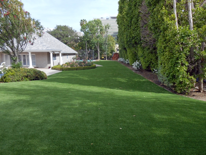 Grass Carpet San Fernando, California Roof Top, Front Yard Design