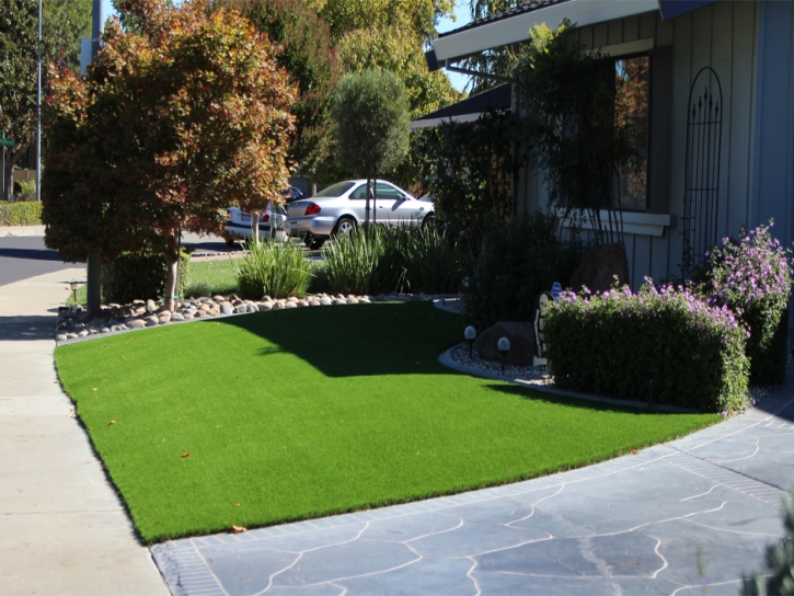Grass Carpet Sky Valley, California Roof Top, Small Front Yard Landscaping