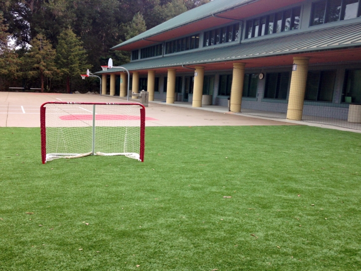 Grass Carpet Solana Beach, California High School Sports, Commercial Landscape