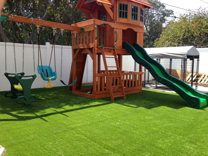 Grass Carpet West Athens, California Indoor Playground, Backyards