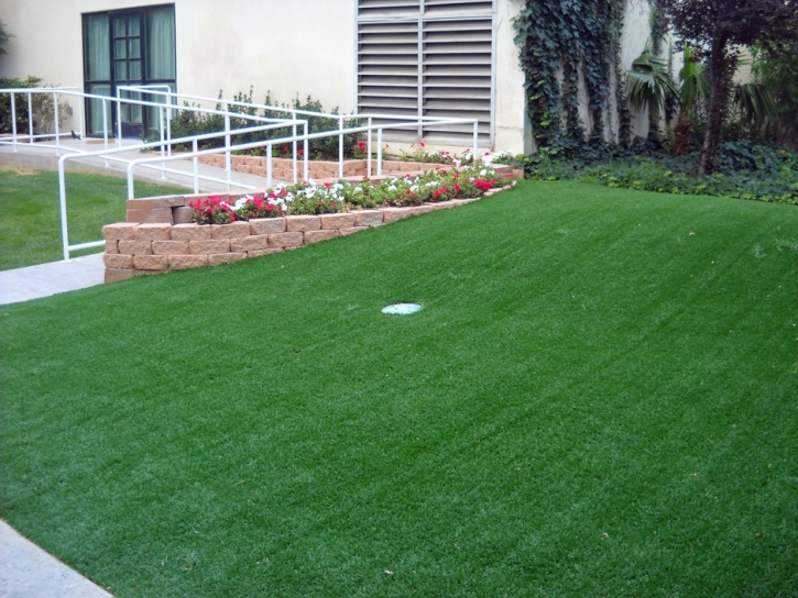 Grass Installation Las Flores, California Putting Green Turf, Front Yard Ideas