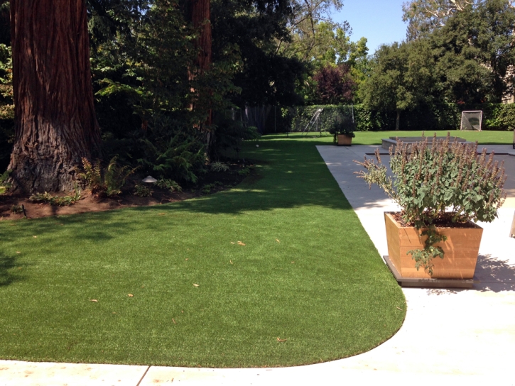 Grass Installation South El Monte, California Pet Grass, Front Yard