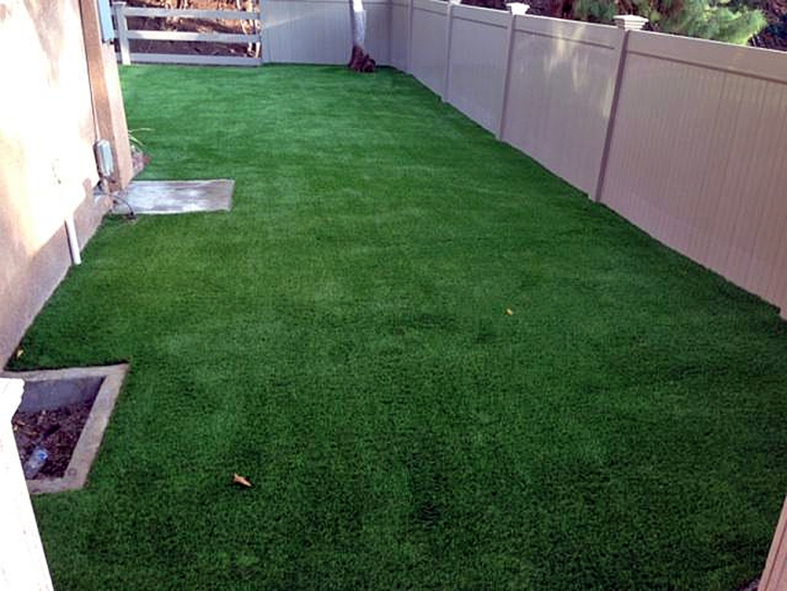 Grass Turf Chino Hills, California Pictures Of Dogs, Backyard Design