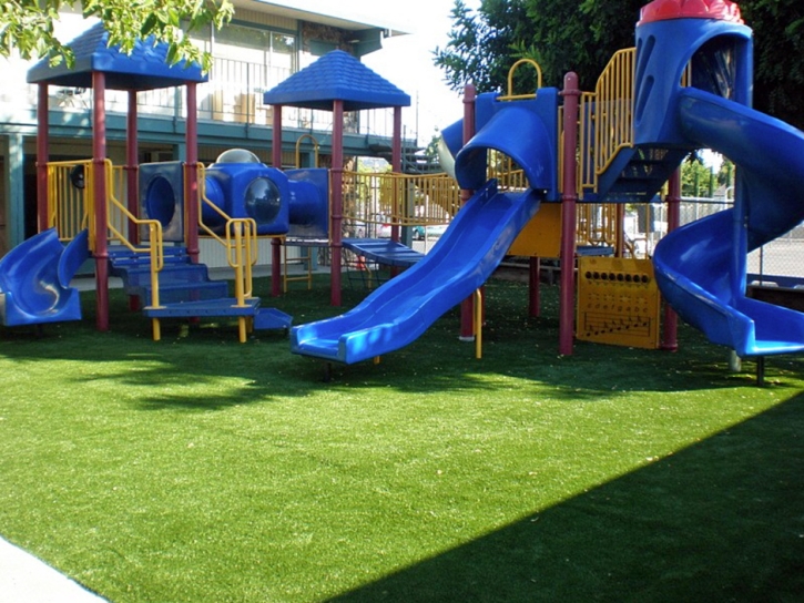 Grass Turf San Pedro, California Backyard Playground, Commercial Landscape