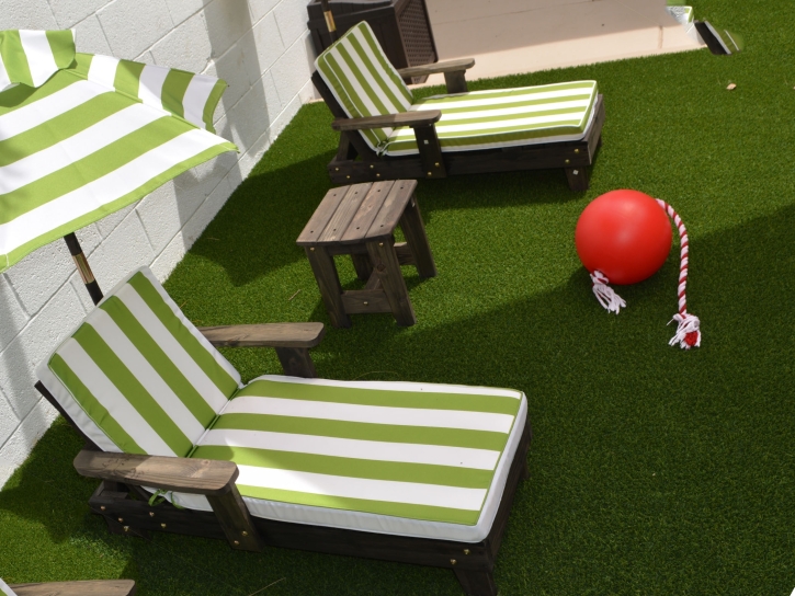 Grass Turf Solana Beach, California Garden Ideas, Backyard Makeover