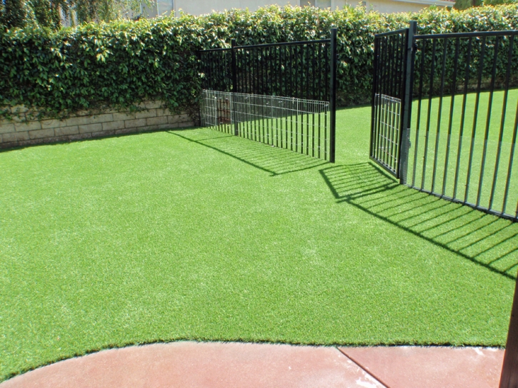 Green Lawn Glendora, California Pet Turf, Small Front Yard Landscaping