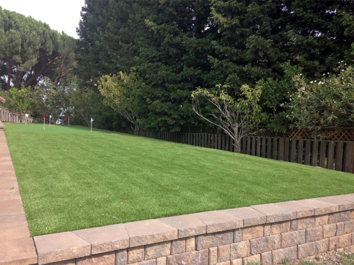 Green Lawn Meiners Oaks, California Best Indoor Putting Green, Backyard