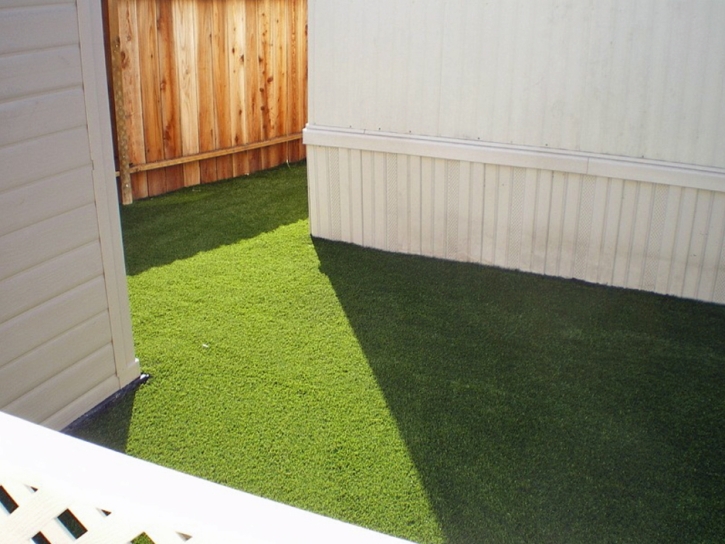 Green Lawn Norco, California Dog Hospital, Backyard Landscaping