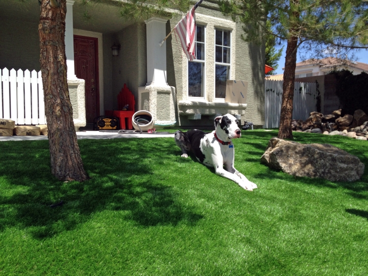 How To Install Artificial Grass Inglewood, California Rooftop, Front Yard
