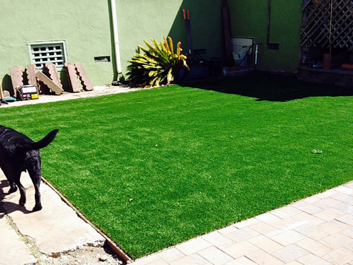 Installing Artificial Grass Thousand Oaks, California Dog Parks, Backyard Landscape Ideas